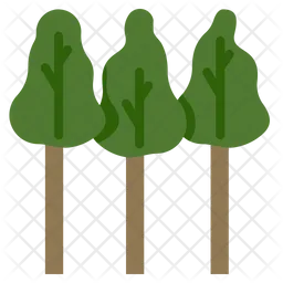 Eucalyptus trees  Icon