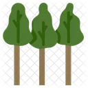 Eucalyptus trees  Icon