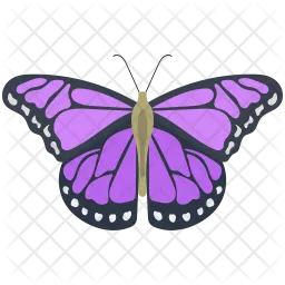 Eueides Butterfly  Icon