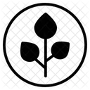 Eukalyptuszweig  Symbol