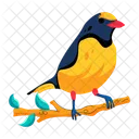 Euphonia Chlorotica Fringillidae Tropical Bird Symbol