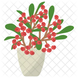 Euphorbia Milii Plant  Icon