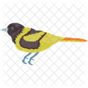 Bird Eurasian Bullfinch Female Bird Icon