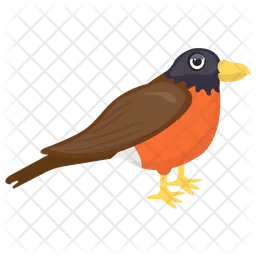 Eurasian Finch  Icon