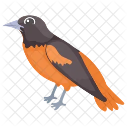 Eurasian Finch  Icon