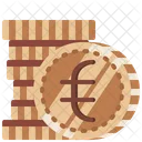 Cash Coin Euro Icon
