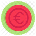 Euro Coin Currency Money Icon