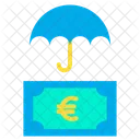 Euro Insurance Money Icon