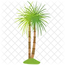 European fan palm  Icon