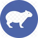 European Rabbit Animal Farm Mammal Icon
