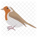 European Robin  Icon