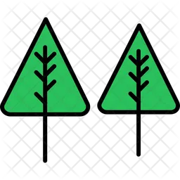 Evergreen  Icon