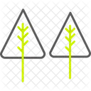Evergreen Forest Nature Icon