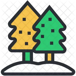 Evergreen  Icon
