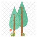 Evergreen Amaryllis Tree Forest Icon