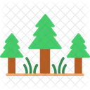 Evergreen Forest  Icon