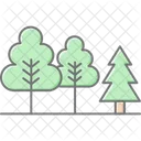 Evergreen forest  Icon