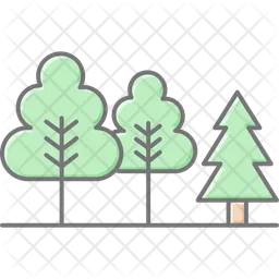 Evergreen forest  Icon