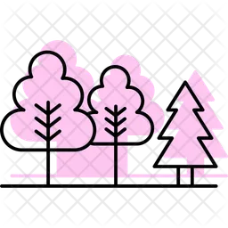 Evergreen forest  Icon