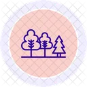 Evergreen Forest Nature Icon