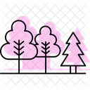 Evergreen forest  Icon