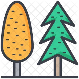 Evergreen Trees  Icon