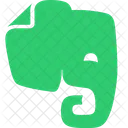 Evernote Social Red Icono