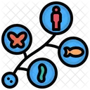 Evolution Diversity Species Icon
