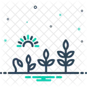 Evolution Development Growth Icon