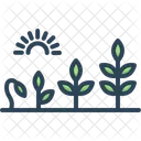 Evolution Development Growth Icon