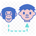 Evolution  Icon