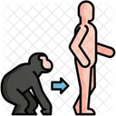 Evolution  Icon