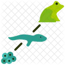 Evolution  Icon