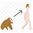 Evolution  Icon