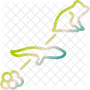 Evolution  Icon