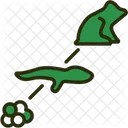 Evolution  Icon