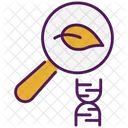 Evolution Icon