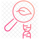 Evolution Icon