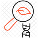 Evolution Icon