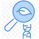 Evolution Icon