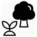 Evolution Tree Icon