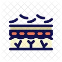Exfoliation Cosmetic Treatment Icon