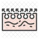 Exfoliation Skin Scrub Skincare Icon