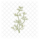 Algae Green Thin Icon