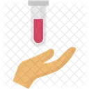  Icône