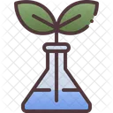 Experimento de botânica  Ícone