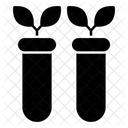 Experimento de botánica  Icono