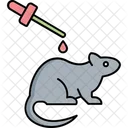 Experimento con ratas  Icono