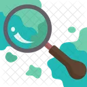 Exploration  Icon