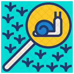 Explore snail  Icon